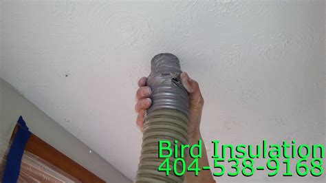 roof insulation for birds